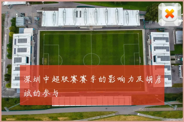 深圳中超联赛赛季的影响力及胡彦斌的参与